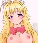  animal_ears blonde_hair breasts kanokon large_breasts minamoto_chizuru nipples purple_eyes school_uniform solo yuuichi_(tareme_paradise) 