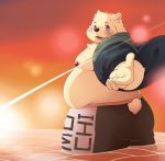  2019 anthro belly blue_eyes bottomwear butt clothing hi_res hoodie humanoid_hands male mammal moobs nipples outside overweight overweight_male polar_bear pomupomu490 shorts solo topwear ursid ursine water 