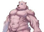  abs anthro biceps blue_eyes fur hi_res male mammal muscular muscular_male navel open_mouth pecs penis pink_fur simple_background solo star_prn tongue triceps ursid white_background 