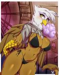  2019 absurd_res anthro anthrofied avante92 avian beak big_breasts bikini blush breasts clothing feathered_wings feathers female friendship_is_magic gilda_(mlp) gryphon hi_res mammal my_little_pony solo swimwear wings 