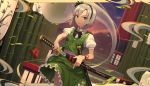  goback gray_hair konpaku_youmu short_hair touhou weapon 