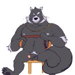  1:1 2019 anthro balls belly binturong erection hi_res humanoid_hands humanoid_penis male mammal nipples overweight overweight_male penis riversausage simple_background sitting solo viverrid white_background 