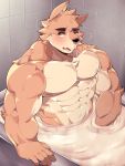  2019 666yubazi abs anthro biceps canid canine canis fur hi_res kemono male mammal muscular muscular_male nipples pecs simple_background solo 