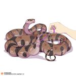  2019 anal_beads blush cloacal duo etheross female female_focus feral reptile scalie sex_toy simple_background snake solo_focus white_background 