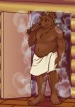  2019 absurd_res anthro bath bathhouse brown_fur digital_media_(artwork) fur hi_res lirkov male mammal solo towel ursid 