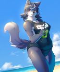  ama_imakuma anthro beach blush breasts canid canine canis clothed clothing cloud cup day detailed_background domestic_dog female hair hi_res liquid mammal outside raised_tail sand seaside sky smile solo teeth water 