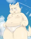  2019 absurd_res anthro belly blush bulge canid canine clothing cute_fangs ekubo hi_res humanoid_hands male mammal moobs navel nipples overweight overweight_male solo swimwear 