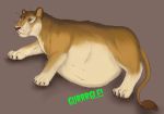  abdominal_bulge felid feral feralized hi_res lion mammal neon_fox pantherine simple_background vore 