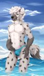  anthro bastika black_nose day detailed_background hi_res hyaenid male mammal nipples outside sky solo spotted_hyena 