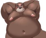  12beat13 2019 anthro belly blush brown_fur cute_fangs eyewear fur glasses male mammal moobs navel nipples overweight overweight_male simple_background solo ursid white_background 