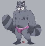  2019 absurd_res anthro belly bulge clothing cute_fangs fur grey_fur hi_res male mammal minedoo moobs navel nipples overweight overweight_male procyonid raccoon simple_background solo underwear 