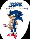  sonic_team sonic_the_hedgehog tagme 