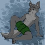  1:1 anthro bulge canid canine canis clothing crimsonwolf1902 hi_res looking_at_viewer male mammal solo underwear wolf 