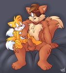  2015 age_difference amadeus_prower balls blush brown_fur brown_hair canid canine cub dipstick_tail duo eye_patch eyewear father father_and_son fluffy fluffy_tail fox fur hair hand_on_penis hi_res incest male male/male mammal miles_prower multi_tail multicolored_tail nude parent penis roarey_raccoon signature size_difference smile son sonic_(series) uncut white_fur yellow_fur young 