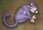  ambiguous_gender anus bdsm bondage bound captured caught digital_drawing_(artwork) digital_media_(artwork) feet feral fur hi_res hogtied muzzle_(object) muzzled nintendo paws pok&eacute;mon pok&eacute;mon_(species) purple_fur raptorroper rattata rope solo video_games 