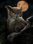  2019 ambiguous_gender avian beak bird brown_feathers detailed_background digital_media_(artwork) feathers feral hi_res moon night outside owl rhyu sky solo star starry_sky 
