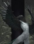  2019 anthro avian beak bird black_beak black_feathers brown_eyes feathers featureless_crotch hi_res male shwonky solo standing 