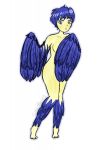 2019 animal_humanoid avian avian_humanoid blue_eyes blue_feathers blue_hair covering covering_breasts covering_crotch feathers female hair hi_res humanoid looking_at_viewer nude simple_background solo tiptoes white_background whospaxxy winged_arms wings 