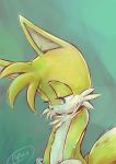  blue_eyes canid canine chest_tuft fur male mammal miles_prower multi_tail popoco sad sonic_(series) tuft yellow_fur 