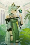  1girl animal_ear_fluff animal_ears arknights artist_name bangs bare_shoulders bug butterfly closed_mouth detached_collar dew_drop dress green_dress green_eyes highres indoors insect jacket jewelry kal&#039;tsit leaf looking_at_viewer pocket short_hair short_hair_with_long_locks solo standing stethoscope vsmile watch water_drop watermark web_address white_hair wristwatch 