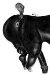  2019 absurd_res animal_genitalia animal_penis anus backsack balls black_balls black_penis boxofficedisaster butt digital_media_(artwork) equid equine equine_penis feathering feral fur glistening hi_res horse invalid_tag male mammal medial_ring penis puffy_anus raised_tail rear_view 