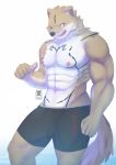 2018 abs absurd_res anthro biped black_markings black_nose boxers_(clothing) brown_fur bulge canid canine canis clothing cubboard fur gesture hi_res kemono looking_at_viewer male mammal markings multicolored_fur muscular muscular_male navel nipples one_eye_closed open_mouth open_smile pecs pink_nipples pointing pointing_at_self red_eyes sharp_teeth simple_background smile solo standing teeth underwear underwear_only watermark white_background white_fur wink wolf 