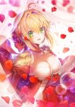  apple_a fate/grand_order saber_extra tagme 