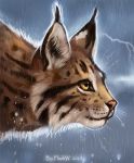  2019 amber_eyes ambiguous_gender digital_media_(artwork) felid feline feral flashw fur lynx mammal raining solo spots spotted_fur tan_fur whiskers 