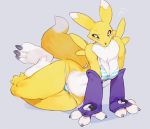  anthro bebebebebe bikini blush breasts camel_toe canid canine clothed clothing digimon digimon_(species) female looking_at_viewer mammal renamon simple_background solo swimwear 