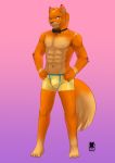  2018 4_toes 5_fingers abs absurd_res anthro athletic barefoot biped black_nose bow_tie boxers_(clothing) brown_eyes bulge canid canine claws clothed clothing cubboard dipstick_ears dipstick_tail eyebrows fingers fox fur fur_markings grin hands_on_hips head_tuft hi_res kemono leg_markings looking_at_viewer male mammal markings multicolored_ears multicolored_tail navel nipples orange_fur pecs pink_background pink_nipples pose purple_background purple_fur purple_markings simple_background smile socks_(marking) solo standing tan_fur teeth toe_claws toes topless underwear underwear_only 