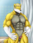  abs anthro balls bathroom black_nose blake blonde_hair canid canine canis claws erection fur glans grey_balls grey_fur hair hi_res ipangherefun male mammal muscular muscular_male nipples nude penis pink_glans pink_penis shower small_balls small_penis solo white_fur wolf yellow_fur 