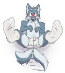  2019 anthro biped blue_eyes blush bottomwear boxer_briefs bulge canid canine canis cheek_tuft clothed clothing countershading footwear fur grey_fur hi_res inner_ear_fluff legwear looking_at_viewer lying male mammal neck_tuft on_back simple_background socks solo spread_legs spreading tailwag topless tuft underwear unpopularwolf white_background white_bottomwear white_clothing white_countershading white_footwear wolf 