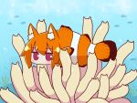  1girl air_bubble animal_ear_fluff animal_ears animalization bangs blush bubble clownfish commentary_request day eyebrows_visible_through_hair fish fox_ears hair_between_eyes highres long_hair looking_at_viewer naga_u orange_hair original outdoors red_eyes sidelocks solo underwater water 
