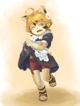  2014 ambiguous_gender anthro clothing cub domestic_cat dress felid feline felis flower footwear furiorid maid_uniform mammal one_eye_closed open_mouth plant sandals solo umani underwear uniform young 