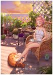  1girl animal balcony ball bare_arms bare_legs bare_shoulders barefoot blue_eyes blush bowl camisole candle closed_mouth cloth cloud cloudy_sky collarbone dog drill_hair english_text engrish_text evening flower_pot forehead full_body hair_bun highres jar looking_down maou_renjishi on_chair original outdoors pink_hair pixiv_username plant potted_plant ranguage reading shiba_inu short_hair shorts signature sitting sky smile solo spaghetti_strap sunlight towel twin_drills weibo_username white_shorts 
