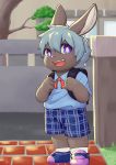  2019 absurd_res anthro backpack biped bottomwear brown_fur building cheek_tuft clothed clothing cub day detailed_background footwear fully_clothed fur grass grey_hair hair happy hi_res kemono lagomorph legwear leporid male mammal norphen open_mouth open_smile outside purple_eyes rabbit shirt shoes short_hair shorts smile socks solo standing student topwear tree tuft young 