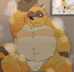  2019 anthro belly blush bodily_fluids brown_fur bulge canid canine clothing duo fox fundoshi fur humanoid_hands hyaku1063 japanese_clothing male mammal navel one_eye_closed overweight overweight_male raccoon_dog sitting sweat tanuki underwear wink 