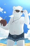  2016 absurd_res anthro balls_outline beach blush bulge cloud coconut cub detailed_background dog_tags eyewear food fruit fur hi_res jewelry male mammal navel necklace nipples outside overweight penis_outline plant polar_bear sand seaside sky solo standing sunglasses swimshorts ursid ursine water white_fur young 萌の傻蛋熊 