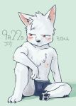  2015 anthro blush boxers_(clothing) canid canine canis child clothing cub male mammal navel nipples pawpads red_eyes shiro_(koike) simple_background solo text translated underwear wolf young コいけ 