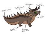  2019 ambiguous_gender anatomy aquatic_dragon belly_scales big_eyes brown_scales colored_sketch countershade_face countershade_tail countershade_torso countershading crest cute_eyes diagram digital_drawing_(artwork) digital_media_(artwork) dorsal_fin dragon ear_frill english_text feral fin frill_(anatomy) frown full-length_portrait green_eyes gundypip horn humor looking_back marine membrane_(anatomy) meme nude pippin_(gundypip) portrait reptile scales scalie sharp_teeth side_view simple_background snout solo spines standing surprise tan_countershading tan_scales teeth text white_background 
