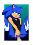  absurd_res anal black_clothing black_dress blue_fur clothed clothing crossdressing dress eulipotyphlan first_person_view fur girly hedgehog hi_res jammiez mammal panties sega sonic_(series) sonic_the_hedgehog underwear video_games 