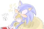  anthro blue_fur clothing cookie cricetid duo eating eulipotyphlan feral food footwear fur giant_food gloves green_eyes hamster handwear hedgehog humor japanese_text male mammal rodent shoes simple_background sitting sonic_(series) sonic_the_hedgehog sunflower_seed text white_background なし 