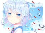  1girl aqua_bow aqua_hair bangs blue_eyes blue_sky blue_vest bow cirno closed_mouth cloud cloudy_sky collared_shirt commentary_request droplets eyebrows_visible_through_hair eyelashes eyes_visible_through_hair hair_bow hairband ice ice_wings koi light_blush lips looking_at_viewer looking_to_the_side neck_ribbon nibosisuzu portrait red_neckwear ribbon shiny shiny_hair shirt short_hair sky smile solo sparkle swept_bangs touhou two-tone_hairband vest water_drop white_background white_shirt wings 