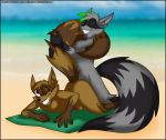  2019 anal anthro balls beach big_tail duo fur green_hair hair male male/male mammal multicolored_fur on_blanket one_eye_closed penetration penis procyonid purple_eyes purple_penis raccoon ringtail seaside sex simple_background sly_cooper_(series) smile sony_corporation sony_interactive_entertainment sucker_punch_productions tattoo towel verona7881 video_games wink 