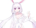 animal_ears bunny_ears bunnygirl cropped flat_chest long_hair original purple_eyes tagme_(artist) white white_hair 