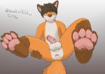  absurd_res anthro anus balls canid canine foot_focus fox fur grey_background hi_res humanoid_penis looking_at_viewer male mammal orange_fur paws penis presenting presenting_anus red_fox signature simple_background solo spread_legs spreading steven_(villalobossand1) villalobossand1 
