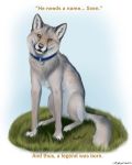  canid canine canis collar domestic_dog dorkosauruz english_text grass hi_res looking_at_viewer mammal pewdiepie solo sven_(pewdiepie) text 
