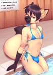  2018 5_fingers anthro articwuff athletic bikini black_fur black_hair black_nose black_tail bulge canid canine canis cheek_tuft chest_tuft clothed clothing crossdressing dipstick_ears dipstick_tail english_text fingers fur girly gloves_(marking) green_eyes hair half-closed_eyes hi_res inner_ear_fluff lockworkorange looking_at_viewer male mammal markings multicolored_ears multicolored_fur multicolored_tail muzzle_(marking) nipple_outline seductive side_tie_bikini sitting smile smug solo swimming_pool swimwear tan_fur tan_tail text tuft two_tone_fur two_tone_tail water wide_hips wolf 