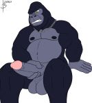  2019 5_fingers angry_face anthro ape bayron_(artist) black_fur chain_necklace coltan_(bayron) fangs fingers fur gorilla grey_skin haplorhine hi_res humanoid_penis jewelry male mammal masturbation muscular muscular_male navel necklace nipples one_eye_closed overweight penis primate simple_background sitting solo teeth white_background yellow_eyes 
