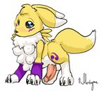  digimon nullenigma renamon tagme 